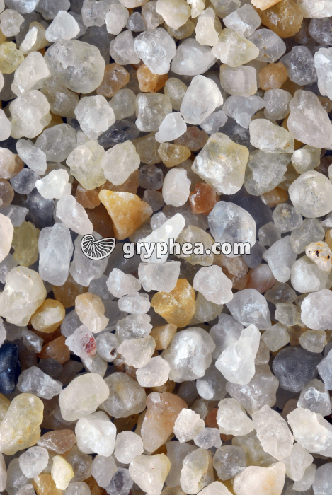 Sable de Loire - vue macroscopique x2 - gryphea.com